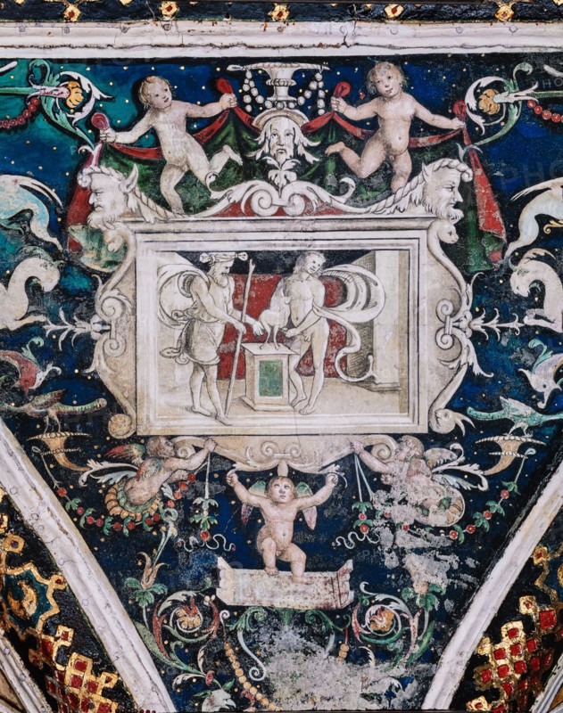 Vault of the Piccolomini Library in Siena