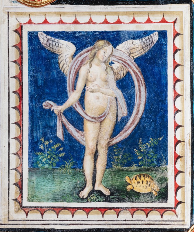 Décor du plafond de la Libreria Piccolomini à Sienne