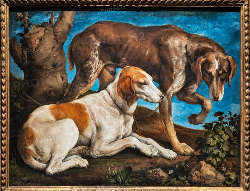 “Portrait of two dogs tied to a log”, by Jacopo Bassano