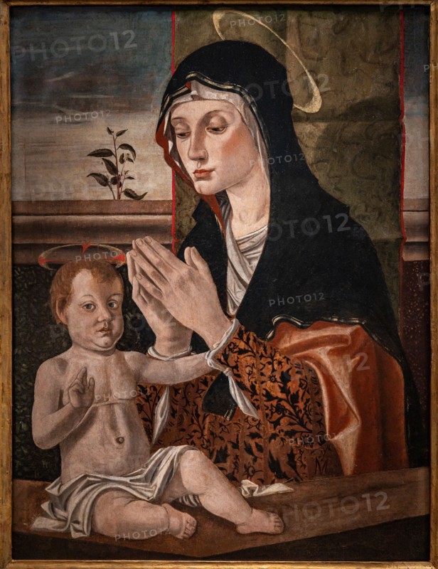 “Madonna with infant Jesus”, by Bartolomeo Montagna
