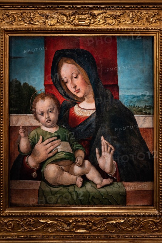 “Madonna with infant Jesus”, by Bartolomeo Montagna