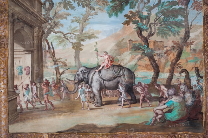 Sassuolo, Palazzo Ducale Estense, Galleria di Bacco