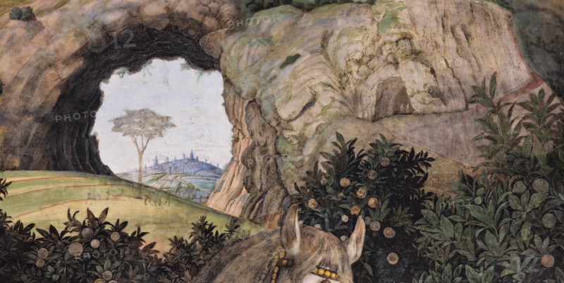 Ducal Palace: south-west wall of the “Bridal Chamber or Camera Picta", which is a room located in the north-east tower of the Castle of San Giorgio in Mantua. It is famous for the cycle of frescoes that covers its walls, a masterpiece by Andrea Mantegna, created between 1465 and 1474.
The wall, on the theme of “The Meeting” is divided into three sectors. In the one on the left the actual meeting takes place, in the central one some cherubs hold a dedicatory plaque and in the one on the right the marquis's court parades.
Detail of the background of the left part of the wall with landscape with rocks, tree and vegetation..
Palazzo Ducale, Mantova (MN) - Mantua, Lombardia - Lombardy, Italia - Italy