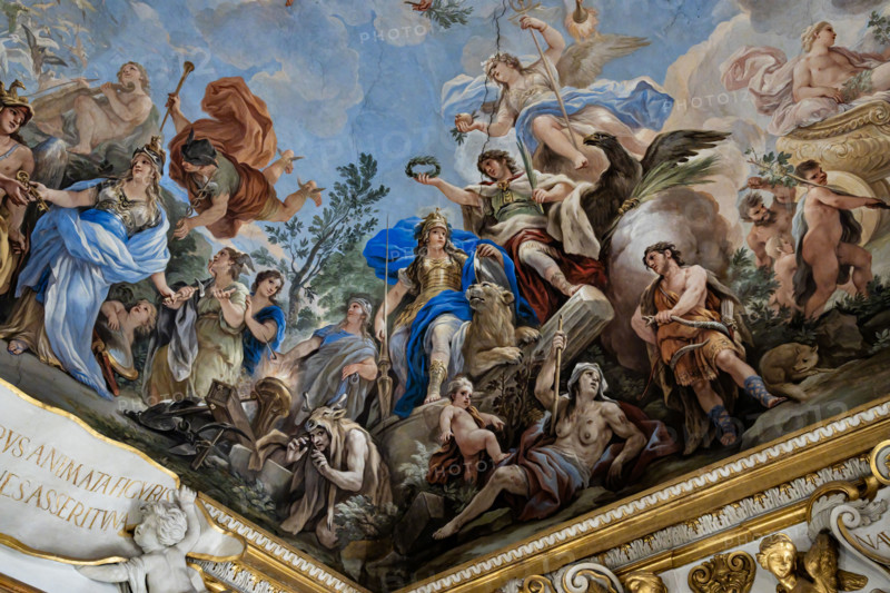Medici Riccardi Palace, Gallery of Mirrors (or Room Luca Giordano): “The Allegory of Fortitude”, detail of the vault.
Frescoes by Luca Giordano, 1682 - 1685.

Virtue is depicted armed with a staff and shield, flanked by a lion and Constance (with her hand on a burning brazier). Above her are Honor, who offers her a laurel wreath, and Victory, seated on a globe in the act of offering a pomegranate; while Peace descends from the sky, with an olive branch and a torch to burn weapons. In the foreground are Courage, depicted as an archer (figure of Hercules) strangling a snake, with a fox on the ground trampled by a winged putto. On the left, always at the bottom, are Misery and Fear, crouched under a skin of deer.
Palazzo Medici Riccardi, Firenze (FI) - Florence, Toscana - Tuscany, Italia - Italy
