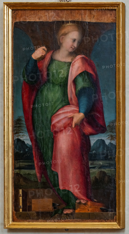 “S. Caterina d’Alessandria”, di Jacopo Carucci detto il Pontormo, 1511-25, olio su tavola.

[ENG]
“St. Catherine of Alexandria”, by Jacopo Carucci  known as Pontormo, 1511-25, oil painting on panel.
Chiesa di San Salvi, Museo del C, Firenze (FI) - Florence, Toscana - Tuscany, Italia - Italy