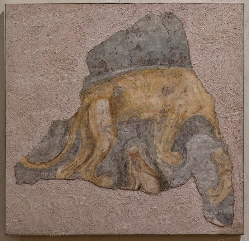 “Fragment with lioness”, detached wall painting, by Antonio di Puccio, known as Pisanello, 1430 - 3, preserved in the Ducal Palace of Mantua.
Second detached fragment “Lioness with Cubs”, in the Tournament wall.
Palazzo Ducale, Mantova (MN) - Mantua, Lombardia - Lombardy, Italia - Italy