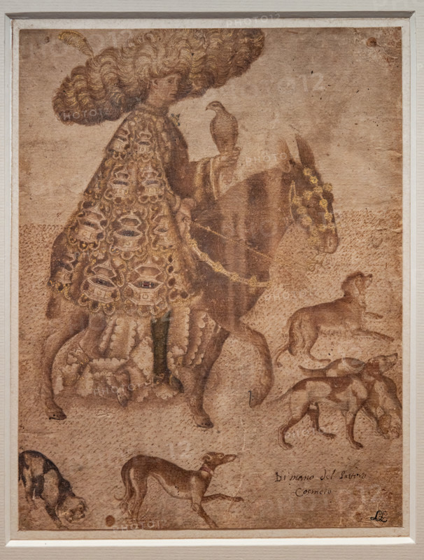 “Cavaliere estense come falconiere”, di Antonio di Puccio, detto il Pisanello, penna e acquarellature brune, rosse e blu su traccia a matita nera, dorature a missione su carta, 1440. 
Il disegno porta in scena un cavaliere dallo sfarzoso abbigliamento con un copricapo ad amplissime tese.

[ENG]
“Knight of Este as a falconer”, by Antonio di Puccio, known as Pisanello, pen and brown, red and blue watercolours on a black pencil outline, 1440.
The drawing presents an extravagantly dressed knight. The very wide brimmed headdress in thick fur is very peculiar.
Fondation Custodia, Collection F, Parigi - Paris, Francia - France