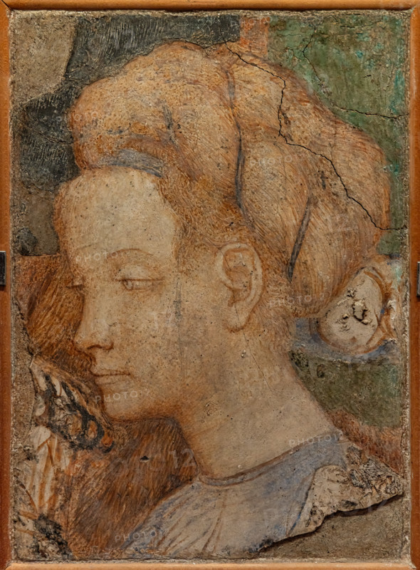 “Testa di donna”, dipinto murale strappato, di Antonio di Puccio, detto il Pisanello, 1430 - 35. 
Il frammento è stato collegato al ciclo di affreschi con le Storie di S. Giovanni della Basilica di S. Giovanni in Laterano a Roma, iniziato da Gentile da Fabriano e portato a compimento da PIsanello. 


[ENG]
“Female figure”, detached wall painting, by Antonio di Puccio, known as Pisanello, 1430 - 5
The fragment is related to the fresco cycle with Stories of St. John Baptist in the Basilica of S. Giovanni in Laterano a Roma, started by Gentile da Fabriano and finished by Pisanello.
Vive - Vittoriano e Palazzo Vene, Roma (RM) - Rome, Lazio, Italia - Italy