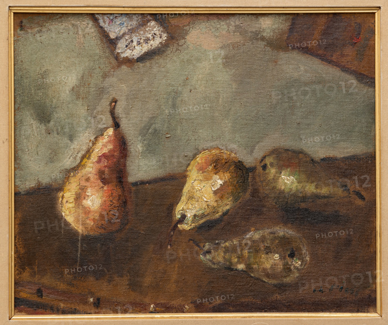 “Natura morta con pere” di Filippo De Pisis (Ferrara, 1856-1956), olio su tela, 38 x 45.
Collezione Assicoop - Unipol, Modena (MO), Emilia Romagna, Italia - Italy