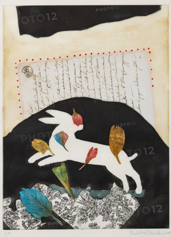 Collezione Assicoop Unipol, inv. n° 862 
Maria Antonietta Moncalieri: “Bestiario”; (litografia, 45x33).