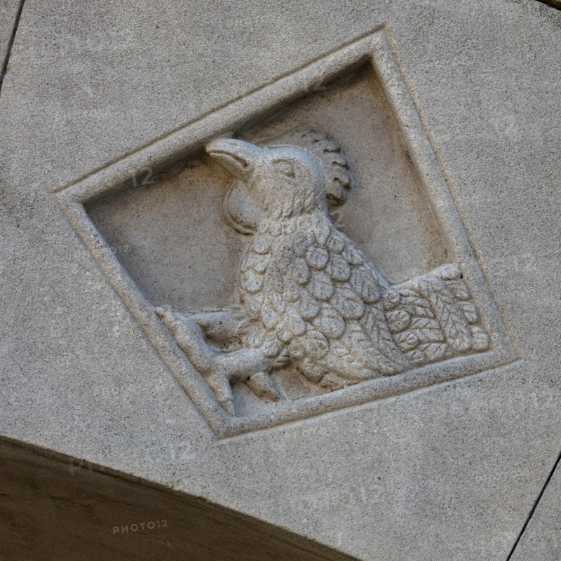 Fidenza, Duomo (Cattedrale di San Donnino), facciata, portale sinistro, protiro, serie di losanghe con allegorie delle virtù teologali e delle virtù cardinali: “la speranza”. 
Opera di Benedetto Antelami e bottega.

[ENG]
Fidenza, Duomo (St. Donnino Cathedral),facade, left portal, prothyrum, series of lozenges with allegories of the theological virtues and cardinal virtues: “Hope”.
Work by Benedetto Antelami and workshop.
Cattedrale di San Donnino, Fidenza (PR), Emilia-Romagna, Italia - Italy