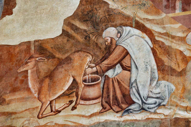 Pisa, Monumental Cemetery: "Triumph of Death," detail of the frescoes by Buonamico Buffalmacco, 1336/1341. Detail with description of the hermit life (milking).
Camposanto Monumentale, Pisa (PI), Toscana - Tuscany, Italia - Italy