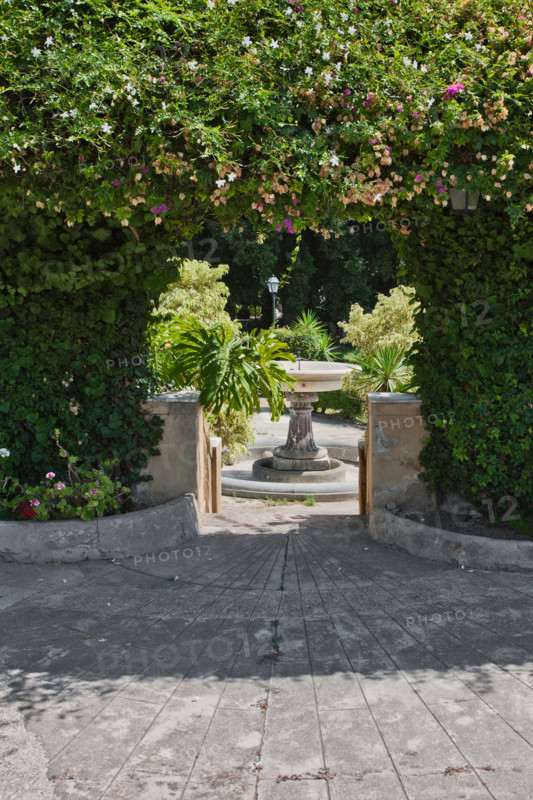 Palermo, The Royal Palace or Palazzo dei Normanni (Palace of the Normans), the South West side, the gardens of the St. Peter Bastion: passage in a hedge.
Palazzo Reale (Palazzo dei Norma, Palermo (PA), Sicilia - Sicily, Italia - Italy
