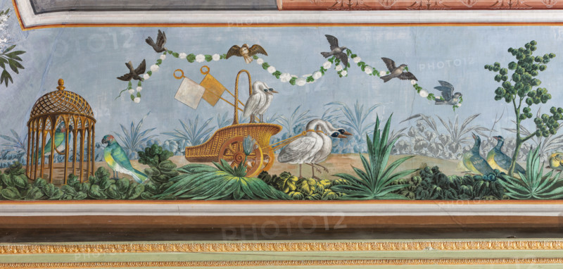 Palermo, Palazzo Reale o Palazzo dei Normanni, Appartamento Reale, Sala   degli Uccell, volta affrescata: dettaglio con cigni e altri uccelli.

[ENG]
Palermo, The Royal Palace or Palazzo dei Normanni (Palace of the Normans), The Royal Apartment, the Birds Room, the frescoed vault: detail with swans and other birds.
Palazzo Reale (Palazzo dei Norma, Palermo (PA), Sicilia - Sicily, Italia - Italy