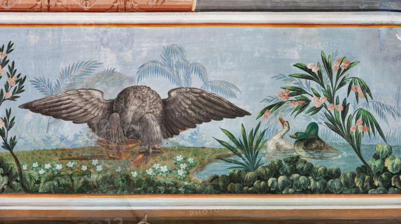Palermo, Palazzo Reale o Palazzo dei Normanni, Appartamento Reale, Sala   degli Uccell, volta affrescata: dettaglio un'aquila e una coppia di germani nello stagno.

[ENG]
Palermo, The Royal Palace or Palazzo dei Normanni (Palace of the Normans), The Royal Apartment, the Birds Room, the frescoed vault: detail with an eagle and a couple of mallards in the pond.
Palazzo Reale (Palazzo dei Norma, Palermo (PA), Sicilia - Sicily, Italia - Italy