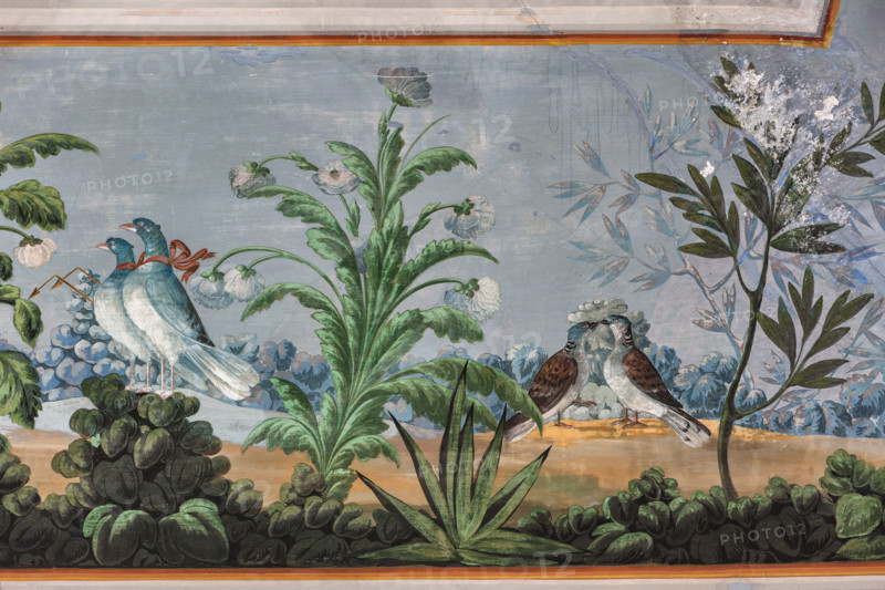 Palermo, The Royal Palace or Palazzo dei Normanni (Palace of the Normans), The Royal Apartment, the Birds Room, the frescoed vault: detail with doves and flowers.
Palazzo Reale (Palazzo dei Norma, Palermo (PA), Sicilia - Sicily, Italia - Italy