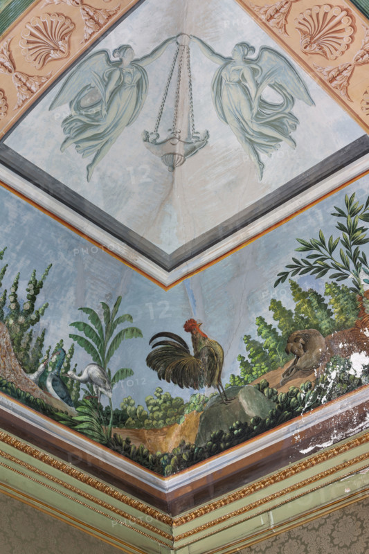 Palermo, The Royal Palace or Palazzo dei Normanni (Palace of the Normans), The Royal Apartment, the Birds Room, the frescoed vault: detail with rooster and plants.
Palazzo Reale (Palazzo dei Norma, Palermo (PA), Sicilia - Sicily, Italia - Italy