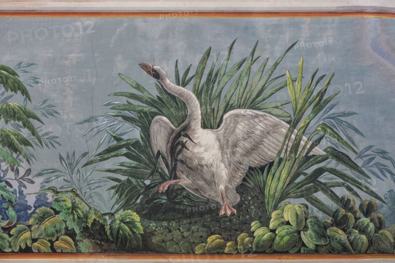 Palermo, The Royal Palace or Palazzo dei Normanni (Palace of the Normans), The Royal Apartment, the Birds Room, the frescoed vault: detail with a swan.
Palazzo Reale (Palazzo dei Norma, Palermo (PA), Sicilia - Sicily, Italia - Italy