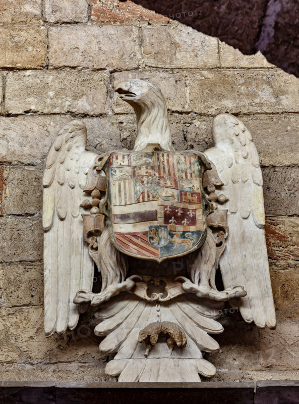 Palermo, Palazzo Reale o Palazzo dei Normanni, Torre Joharia, Sala dei Venti: scultura che rappresenta lo stemma borbonico dell'aquila.

[ENG]
Palermo, The Royal Palace or Palazzo dei Normanni (Palace of the Normans), Joharia Tower, the Winds Room: sculpture representing emblem of the Borbones.
Palazzo Reale (Palazzo dei Norma, Palermo (PA), Sicilia - Sicily, Italia - Italy