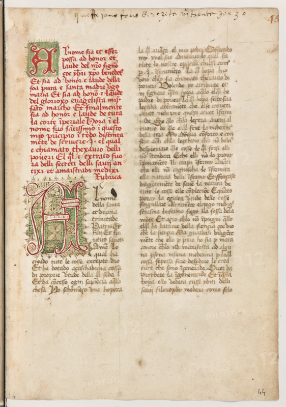 Erbario di Trento (Manoscritto n° 1591), XVI secolo, carta 44 recto.

[ENG]
Herbarium of Trento (Manuscript No. 1591), 16th century, page 44 recto.
Museo provinciale d'arte - Caste, Trento (TN), Trentino Alto Adige - Südtirol, Italia - Italy