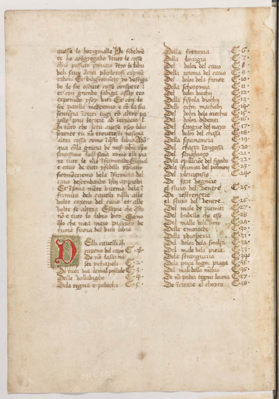 Erbario di Trento (Manoscritto n° 1591), XVI secolo, carta 44 verso.

[ENG]
Herbarium of Trento (Manuscript No. 1591), 16th century, page 44 verso.
Museo provinciale d'arte - Caste, Trento (TN), Trentino Alto Adige - Südtirol, Italia - Italy