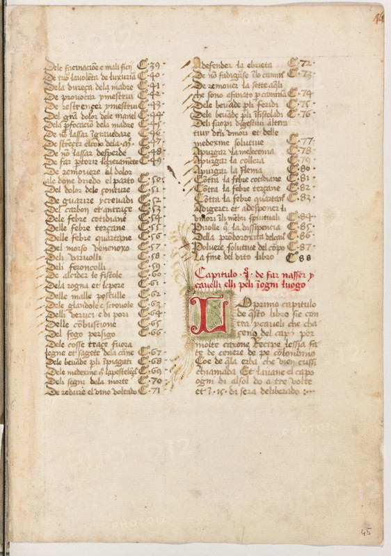 Erbario di Trento (Manoscritto n° 1591), XVI secolo, carta 45 recto.

[ENG]
Herbarium of Trento (Manuscript No. 1591), 16th century, page 45 recto.
Museo provinciale d'arte - Caste, Trento (TN), Trentino Alto Adige - Südtirol, Italia - Italy