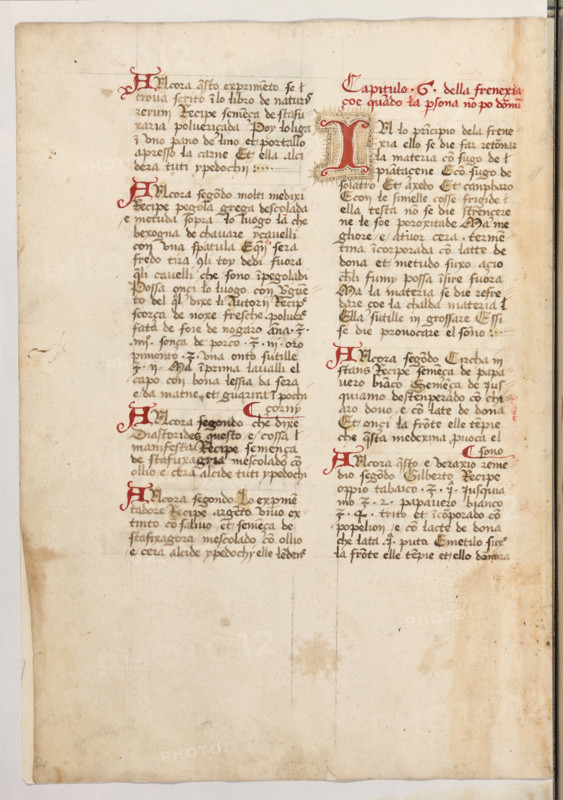 Erbario di Trento (Manoscritto n° 1591), XVI secolo, carta 47 verso.

[ENG]
Herbarium of Trento (Manuscript No. 1591), 16th century, page 47 verso.
Museo provinciale d'arte - Caste, Trento (TN), Trentino Alto Adige - Südtirol, Italia - Italy