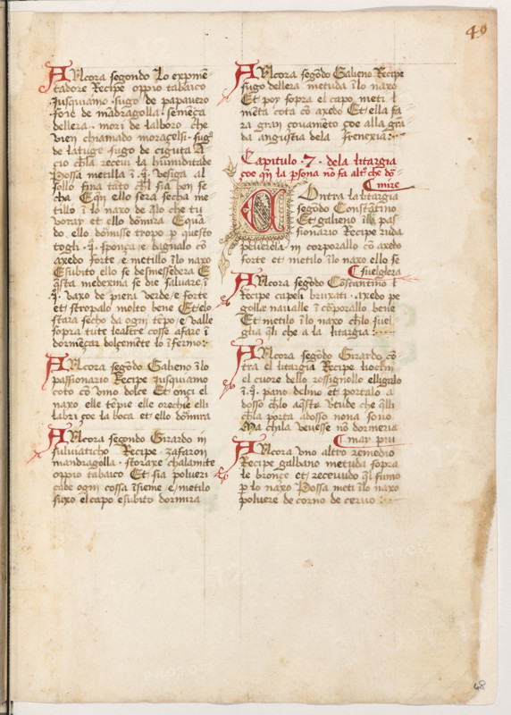 Erbario di Trento (Manoscritto n° 1591), XVI secolo, carta 48 recto.

[ENG]
Herbarium of Trento (Manuscript No. 1591), 16th century, page 48 recto.
Museo provinciale d'arte - Caste, Trento (TN), Trentino Alto Adige - Südtirol, Italia - Italy