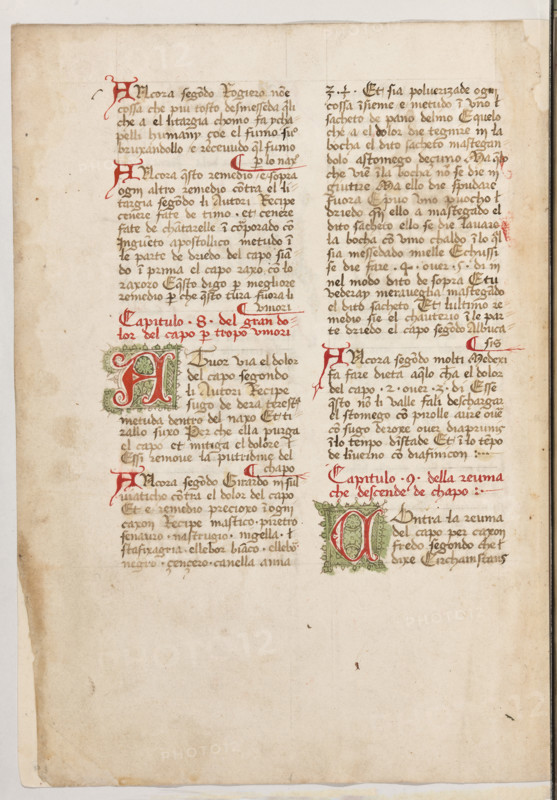 Erbario di Trento (Manoscritto n° 1591), XVI secolo, carta 48 verso.

[ENG]
Herbarium of Trento (Manuscript No. 1591), 16th century, page 48 verso.
Museo provinciale d'arte - Caste, Trento (TN), Trentino Alto Adige - Südtirol, Italia - Italy