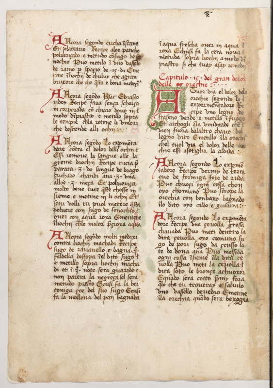 Erbario di Trento (Manoscritto n° 1591), XVI secolo, carta 50 verso.

[ENG]
Herbarium of Trento (Manuscript No. 1591), 16th century, page 50 verso.
Museo provinciale d'arte - Caste, Trento (TN), Trentino Alto Adige - Südtirol, Italia - Italy