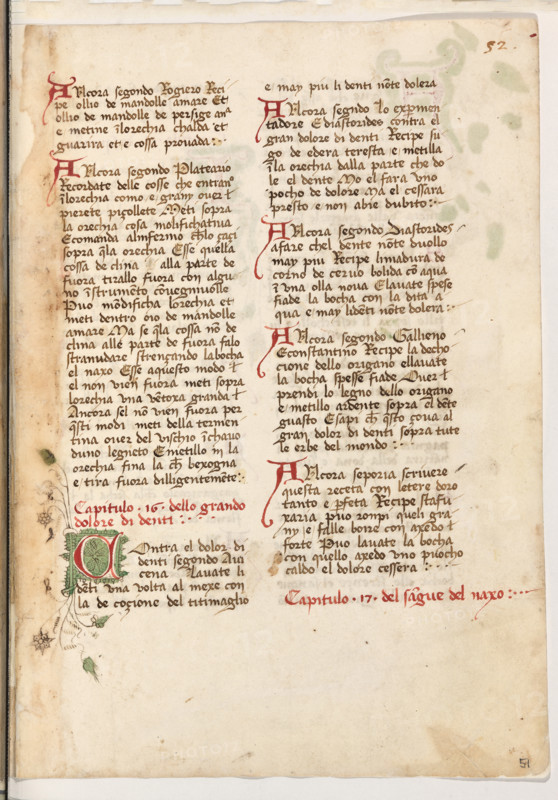 Erbario di Trento (Manoscritto n° 1591), XVI secolo, carta 51 recto.

[ENG]
Herbarium of Trento (Manuscript No. 1591), 16th century, page 51 recto.
Museo provinciale d'arte - Caste, Trento (TN), Trentino Alto Adige - Südtirol, Italia - Italy
