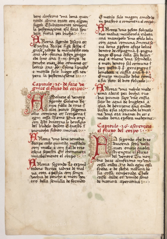 Erbario di Trento (Manoscritto n° 1591), XVI secolo, carta 53 verso.

[ENG]
Herbarium of Trento (Manuscript No. 1591), 16th century, page 53 verso.
Museo provinciale d'arte - Caste, Trento (TN), Trentino Alto Adige - Südtirol, Italia - Italy