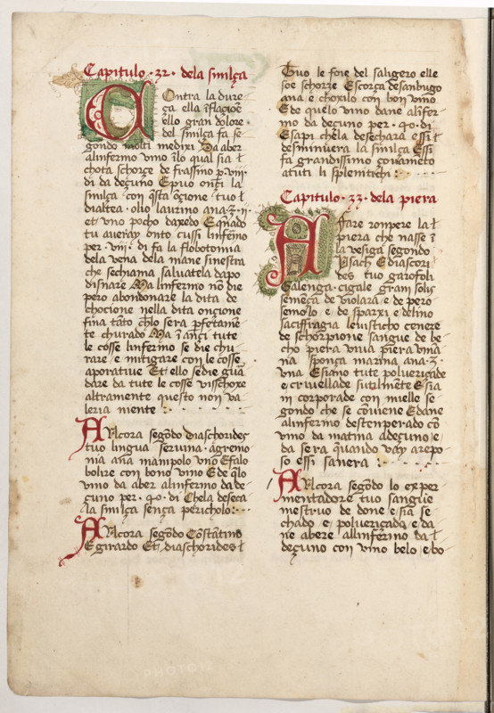 Erbario di Trento (Manoscritto n° 1591), XVI secolo, carta 55 verso.

[ENG]
Herbarium of Trento (Manuscript No. 1591), 16th century, page 55 verso.
Museo provinciale d'arte - Caste, Trento (TN), Trentino Alto Adige - Südtirol, Italia - Italy