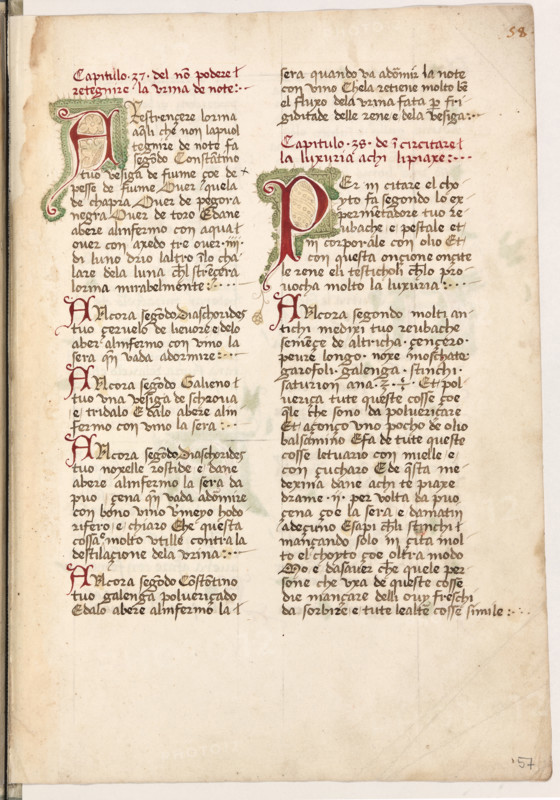 Erbario di Trento (Manoscritto n° 1591), XVI secolo, carta 57 recto.

[ENG]
Herbarium of Trento (Manuscript No. 1591), 16th century, page 57 recto.
Museo provinciale d'arte - Caste, Trento (TN), Trentino Alto Adige - Südtirol, Italia - Italy