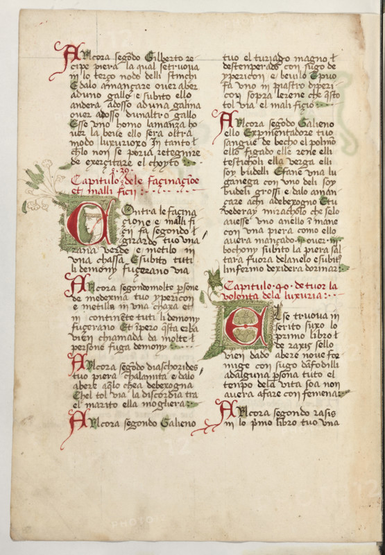 Erbario di Trento (Manoscritto n° 1591), XVI secolo, carta 57 verso.

[ENG]
Herbarium of Trento (Manuscript No. 1591), 16th century, page 57 verso.
Museo provinciale d'arte - Caste, Trento (TN), Trentino Alto Adige - Südtirol, Italia - Italy