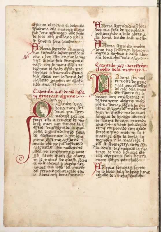 Erbario di Trento (Manoscritto n° 1591), XVI secolo, carta 59 verso.

[ENG]
Herbarium of Trento (Manuscript No. 1591), 16th century, page 59 verso.
Museo provinciale d'arte - Caste, Trento (TN), Trentino Alto Adige - Südtirol, Italia - Italy