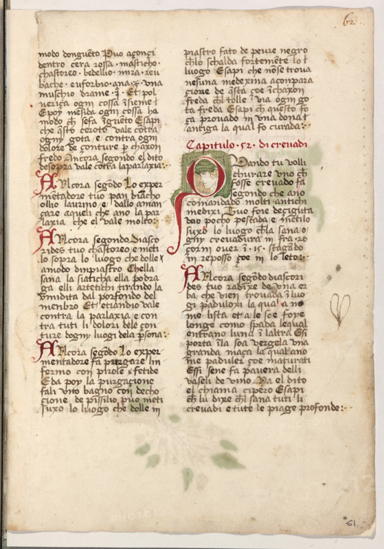 Erbario di Trento (Manoscritto n° 1591), XVI secolo, carta 61 recto.

[ENG]
Herbarium of Trento (Manuscript No. 1591), 16th century, page 61 recto.
Museo provinciale d'arte - Caste, Trento (TN), Trentino Alto Adige - Südtirol, Italia - Italy