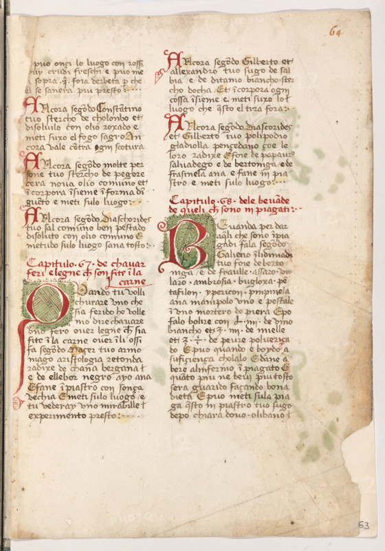 Erbario di Trento (Manoscritto n° 1591), XVI secolo, carta 63 recto.

[ENG]
Herbarium of Trento (Manuscript No. 1591), 16th century, page 63 recto.
Museo provinciale d'arte - Caste, Trento (TN), Trentino Alto Adige - Südtirol, Italia - Italy