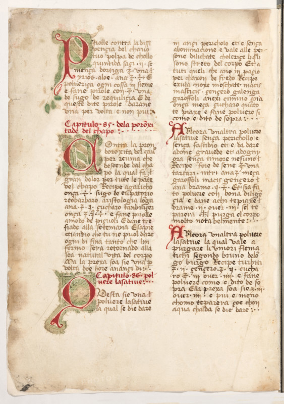 Erbario di Trento (Manoscritto n° 1591), XVI secolo, carta 65 verso.

[ENG]
Herbarium of Trento (Manuscript No. 1591), 16th century, page 65 verso.
Museo provinciale d'arte - Caste, Trento (TN), Trentino Alto Adige - Südtirol, Italia - Italy