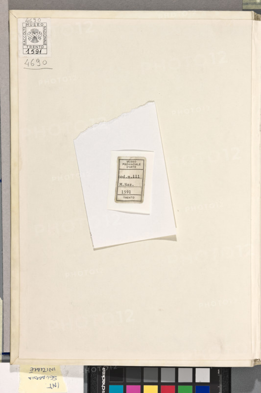 Erbario di Trento (Manoscritto n° 1591),
Museo Provinciale d'Arte, Veneto, Italia