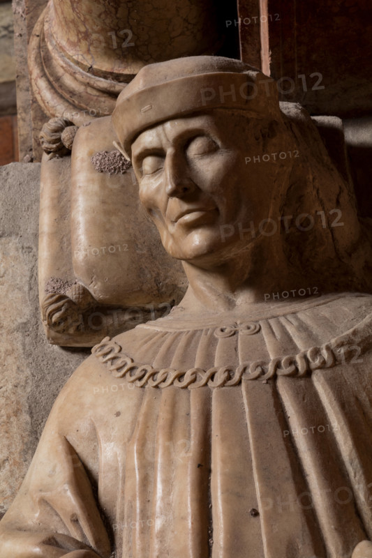 Modena, Duomo, interno, navata destra: monumento funerario dedicato a Francesco Molza; di Bartolomeo Spani, 1516. Marmo di Carrara, marmo proconnesio, pietra d'Istria e rosso ammonitico.

[ENG]
Modena, Cathedral, interior, right aisle: funerary monument dedicated to Francesco Molza; Bartolomeo Spani, 1516. Carrara marble, Proconnesian marble, Istrian stone and red ammonitic stone.