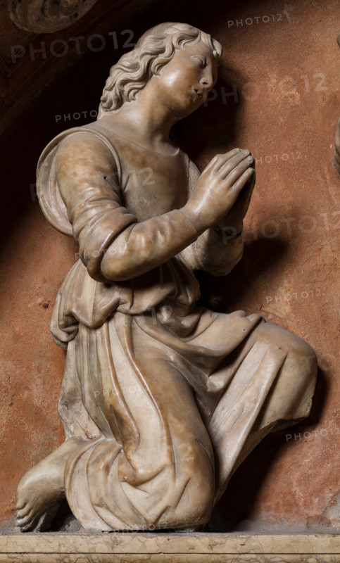 Modena, Duomo, interno, navata destra: monumento funerario dedicato a Francesco Molza; di Bartolomeo Spani, 1516. Marmo di Carrara, marmo proconnesio, pietra d'Istria e rosso ammonitico.

[ENG]
Modena, Cathedral, interior, right aisle: funerary monument dedicated to Francesco Molza; Bartolomeo Spani, 1516. Carrara marble, Proconnesian marble, Istrian stone and red ammonitic stone.