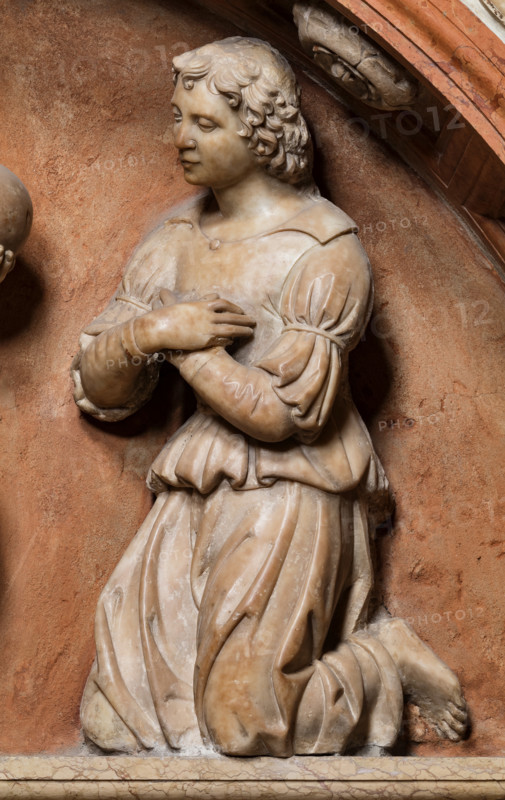 Modena, Duomo, interno, navata destra: monumento funerario dedicato a Francesco Molza; di Bartolomeo Spani, 1516. Marmo di Carrara, marmo proconnesio, pietra d'Istria e rosso ammonitico.

[ENG]
Modena, Cathedral, interior, right aisle: funerary monument dedicated to Francesco Molza; Bartolomeo Spani, 1516. Carrara marble, Proconnesian marble, Istrian stone and red ammonitic stone.