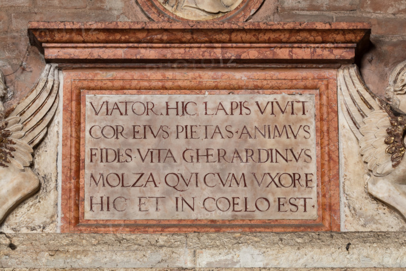 Modena, Duomo, interno, navata destra: monumento funerario dedicato a Francesco Molza; di Bartolomeo Spani, 1516. Marmo di Carrara, marmo proconnesio, pietra d'Istria e rosso ammonitico.

[ENG]
Modena, Cathedral, interior, right aisle: funerary monument dedicated to Francesco Molza; Bartolomeo Spani, 1516. Carrara marble, Proconnesian marble, Istrian stone and red ammonitic stone.