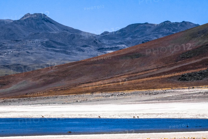 Atacama desert, Chile and Bolivia