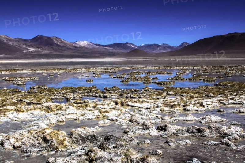 Salar de Atacama, Chile