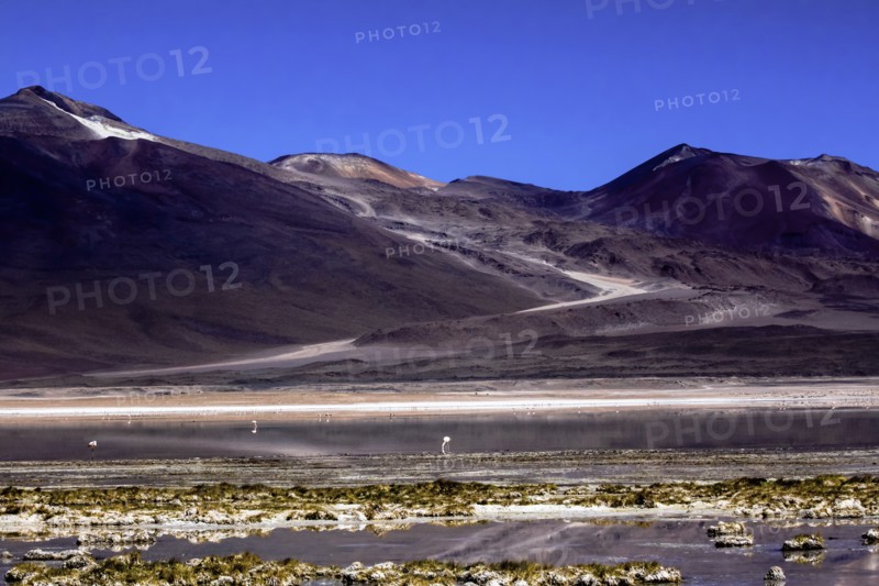 Salar de Atacama, Chile