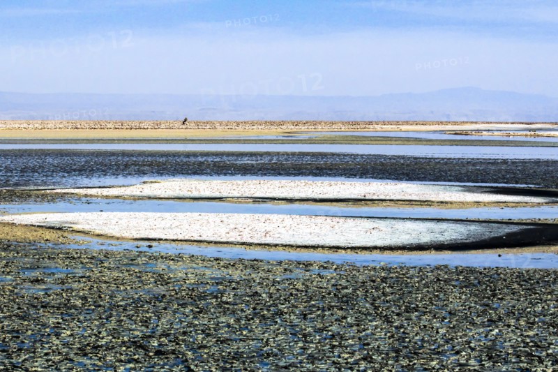 Salar de Atacama, Chile