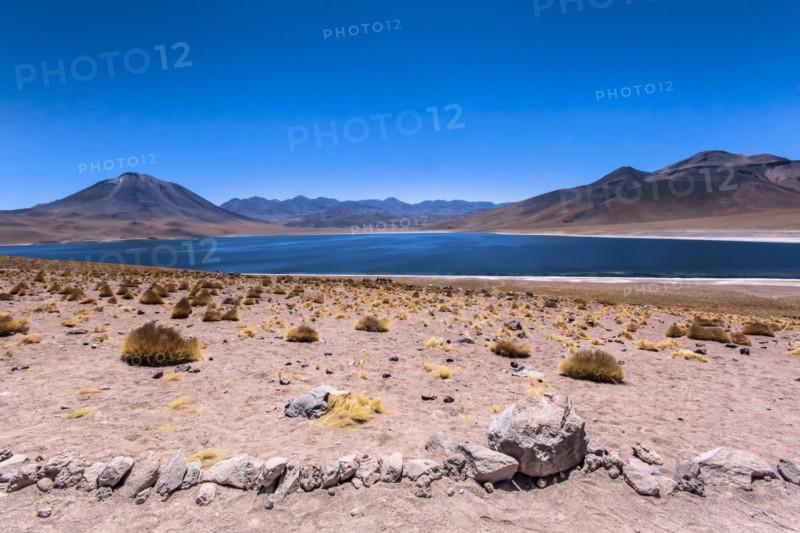 Miscanti lagoon, Atacama desert, Chili
