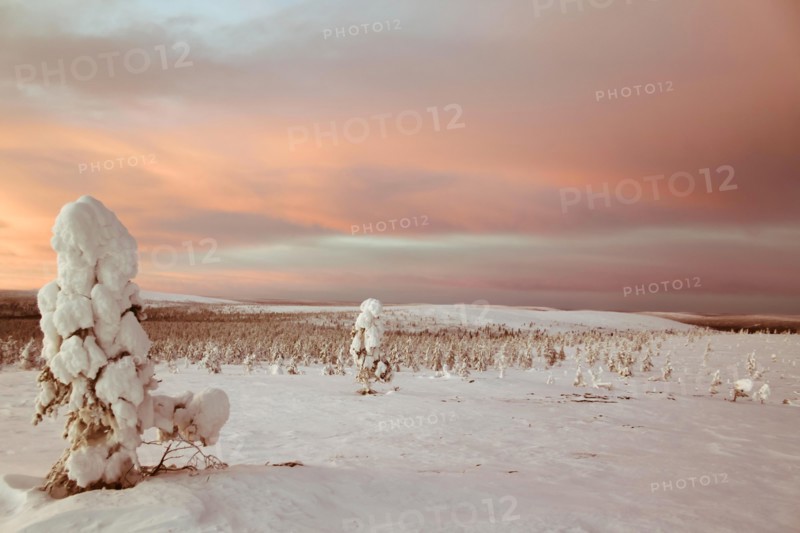 Landscape covered in snow, Lapland, Finland